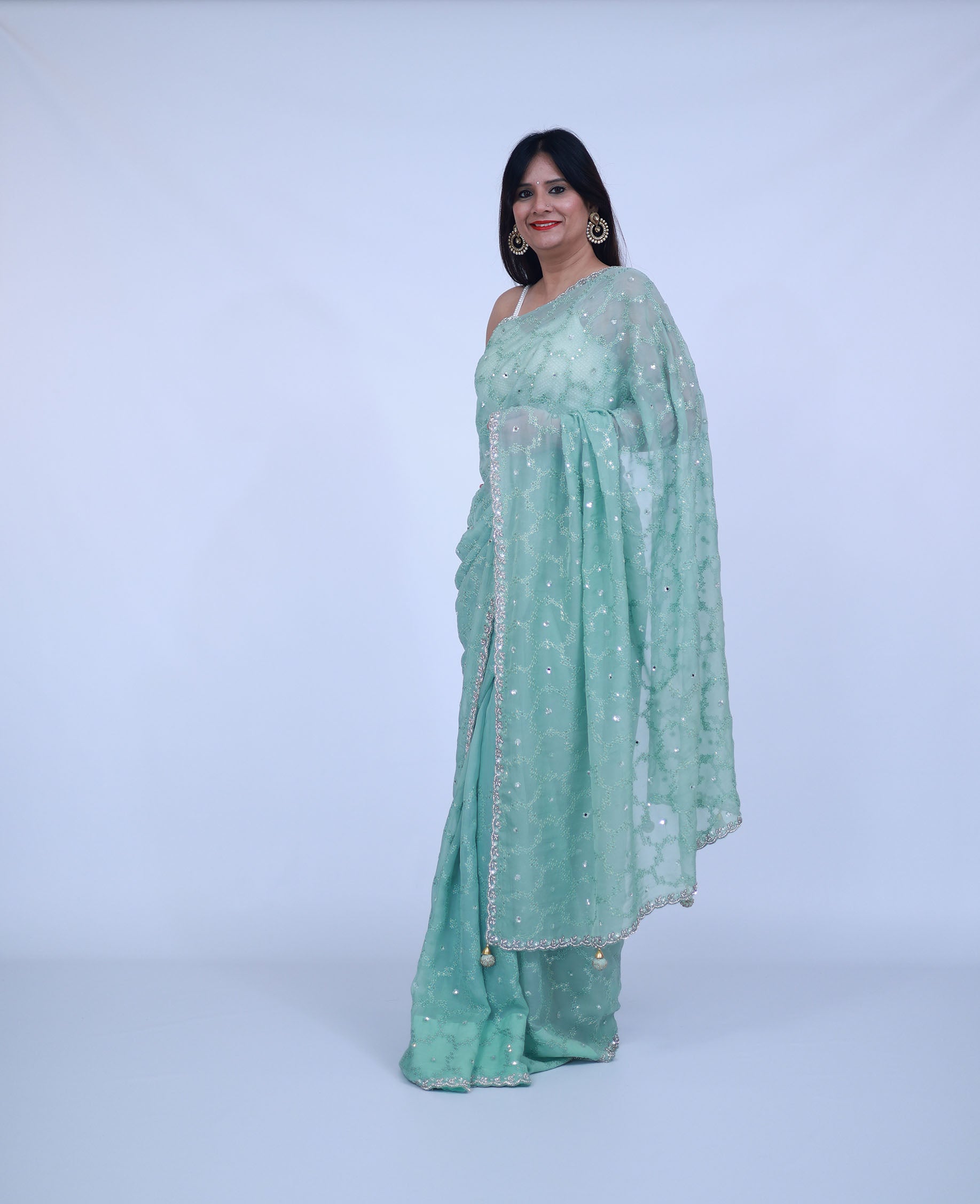 Mint Green Organza saree with jaal work
