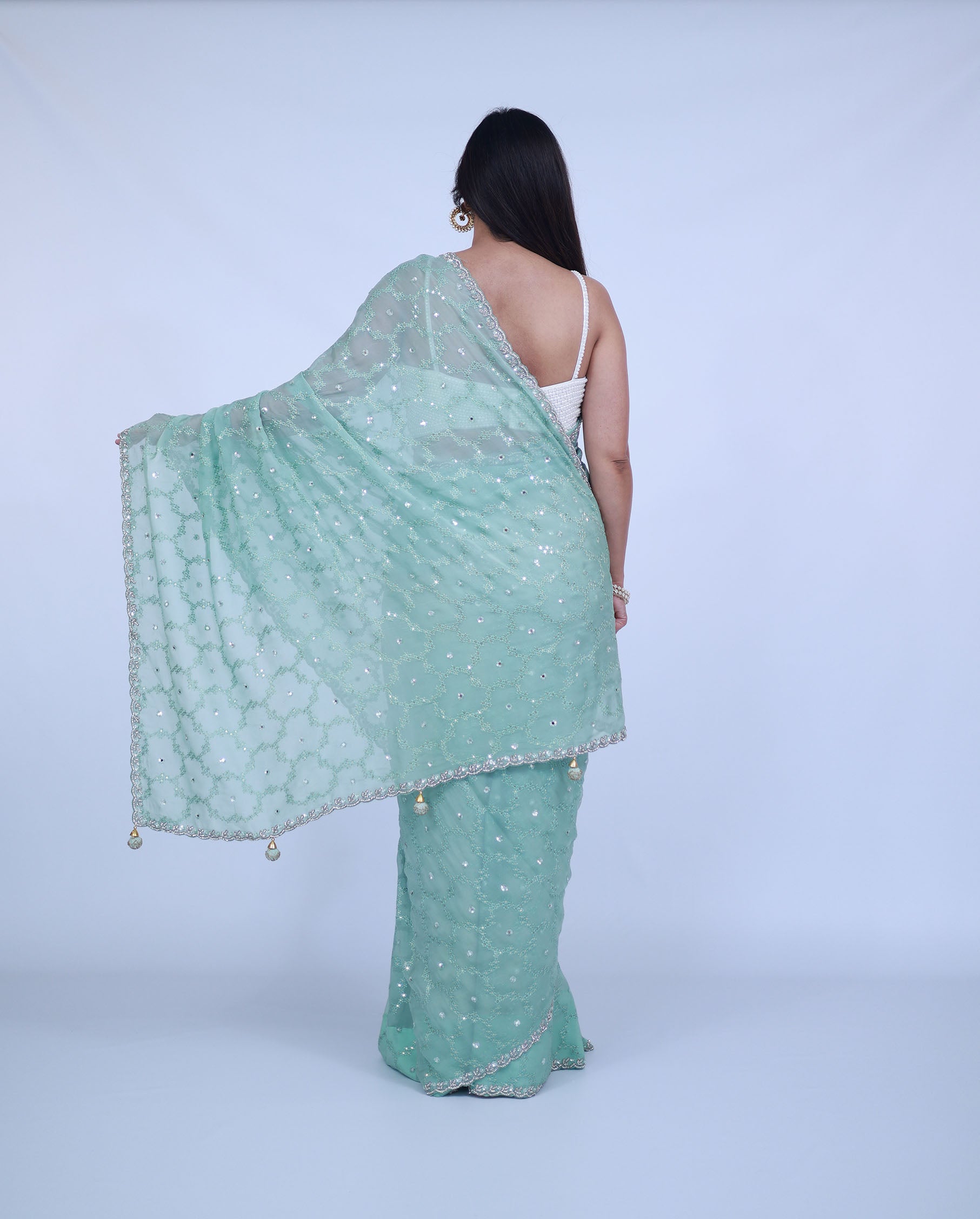 Mint Green Organza saree with jaal work