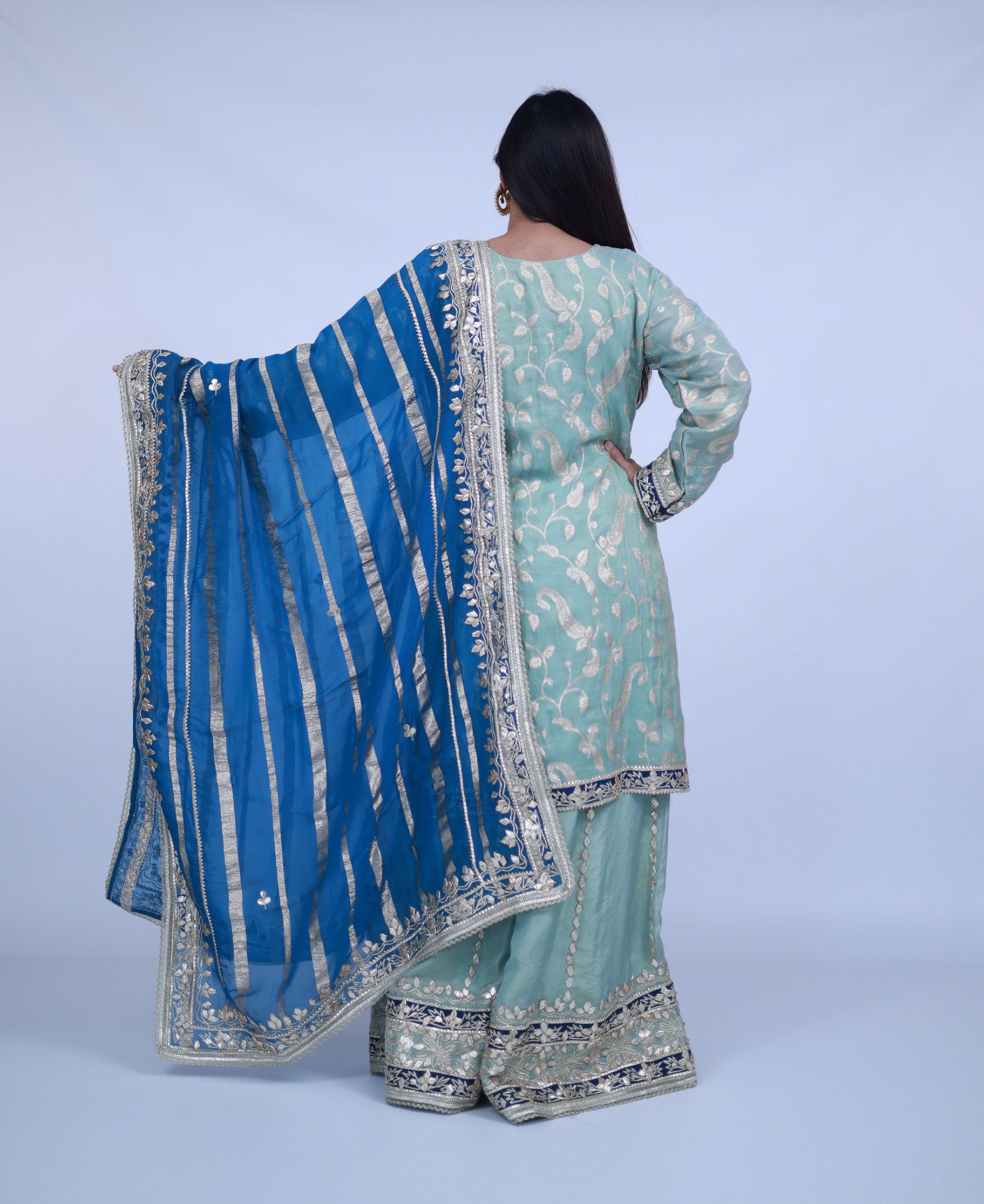Blue Tissue Silk Sharara