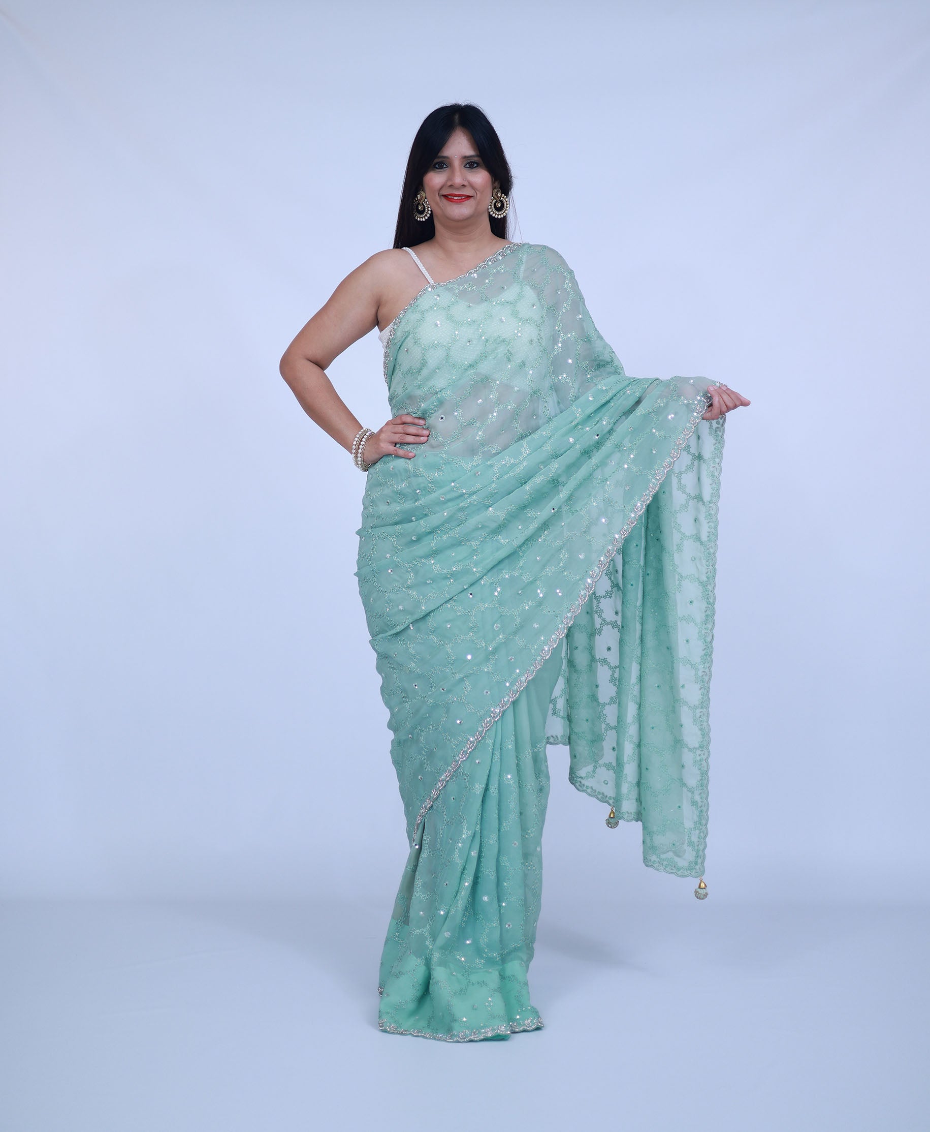 Mint Green Organza saree with jaal work