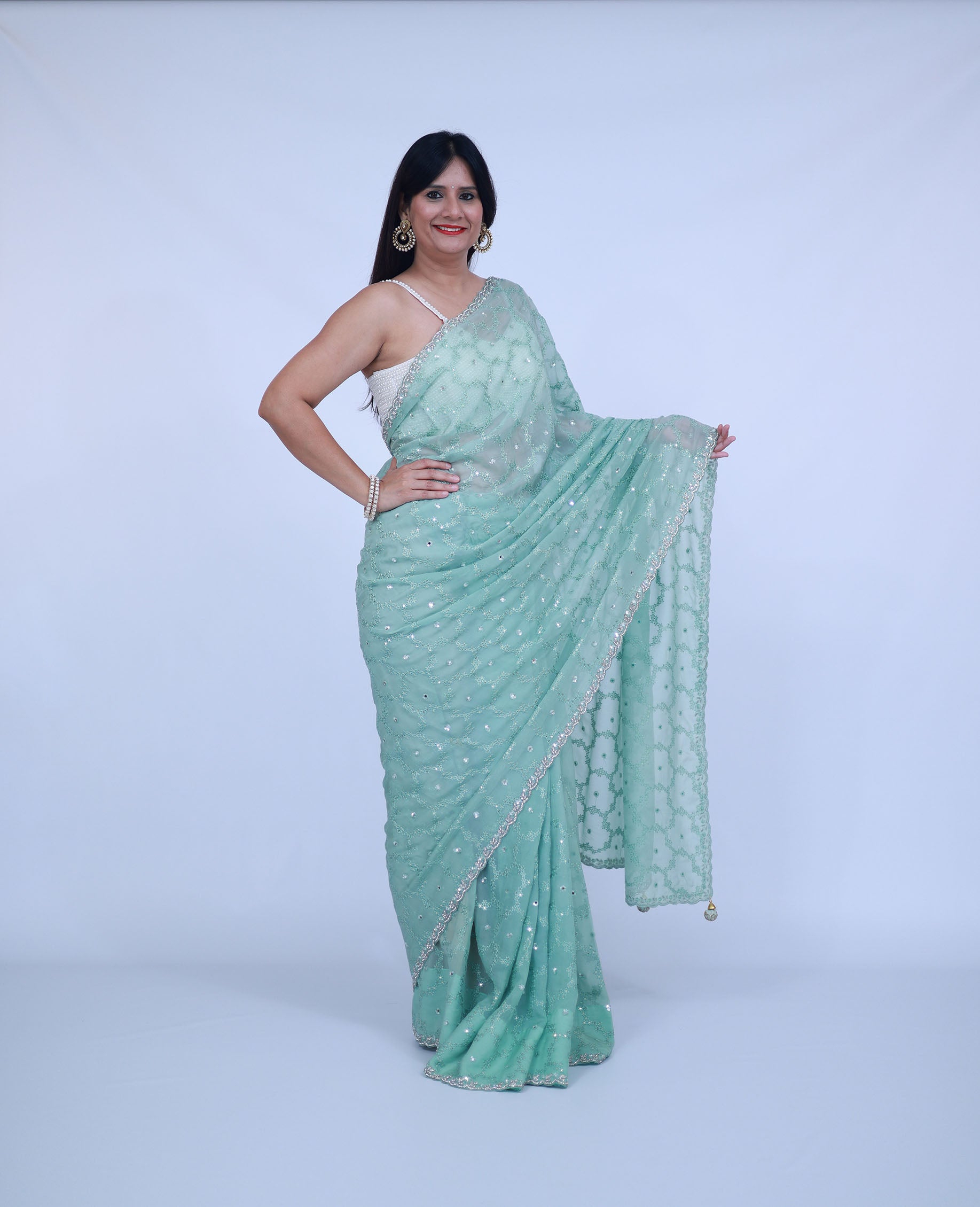 Mint Green Organza saree with jaal work